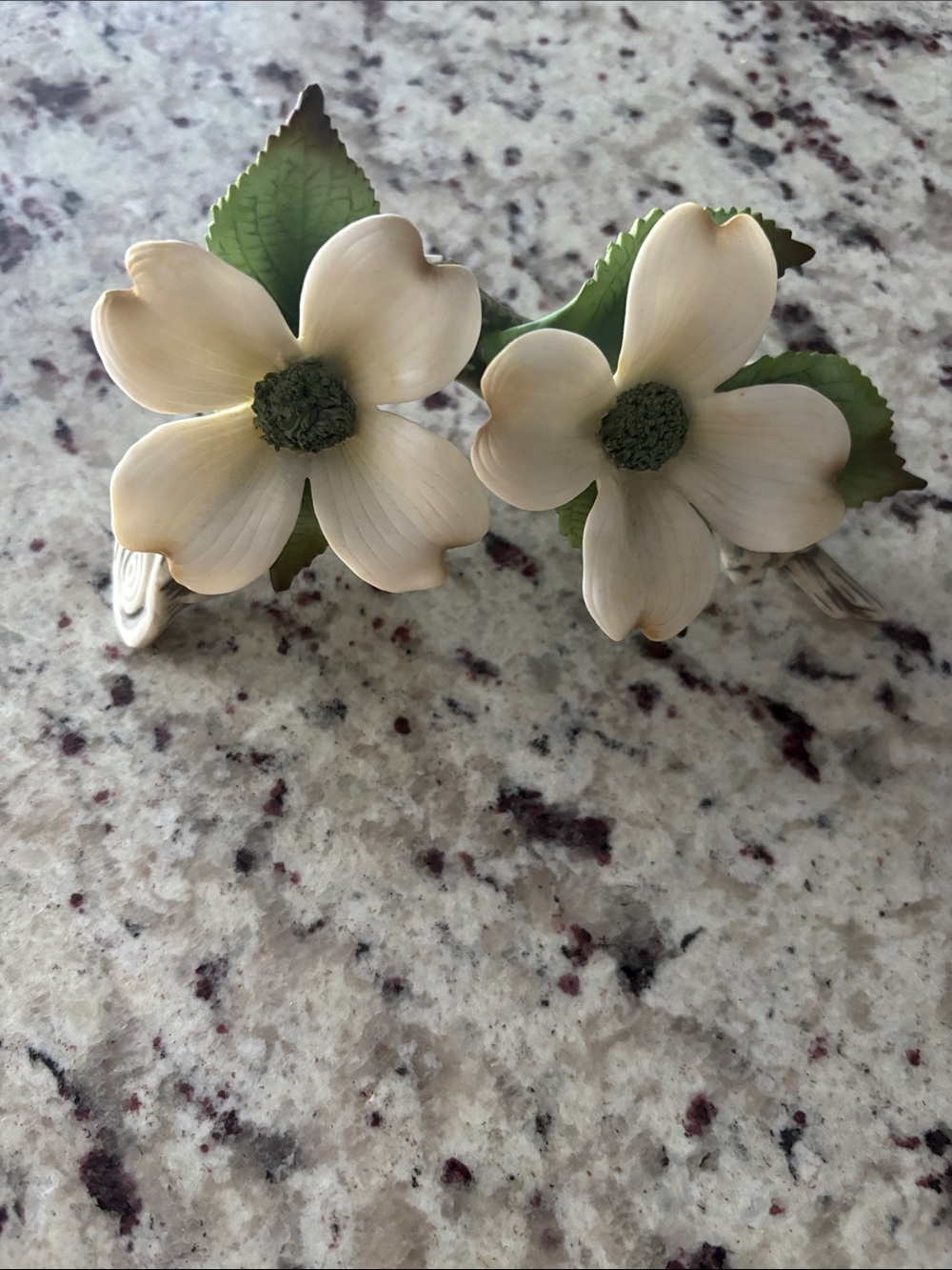 Porcelain dogwood